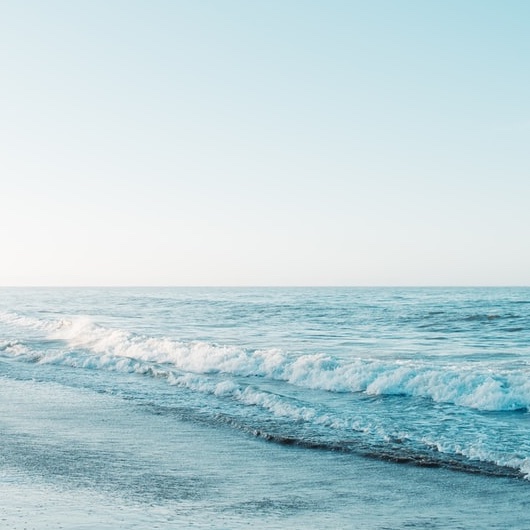 移植医療のDSA（ドナー特異的抗体）ってなに？──新人看護師のための超入門