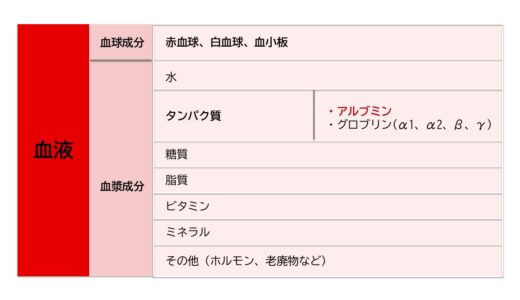 アルブミン（ALB）の基準値について【低いときの原因はなに？】