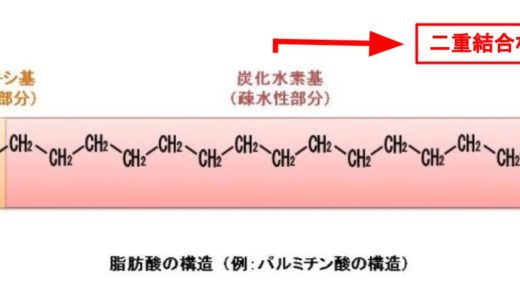飽和脂肪酸と不飽和脂肪酸の違いをわかりやすく解説します