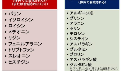 必須・非必須アミノ酸の構造式の一覧【全部で20種類あります】