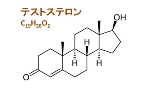 遊離テストステロンとは？【テストステロンとの違いをわかりやすく解説】