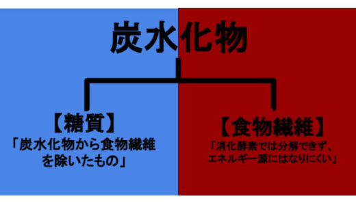 炭水化物とは？【糖質と食物繊維の違い・種類を解説】