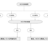 HCV感染の診断フローチャート