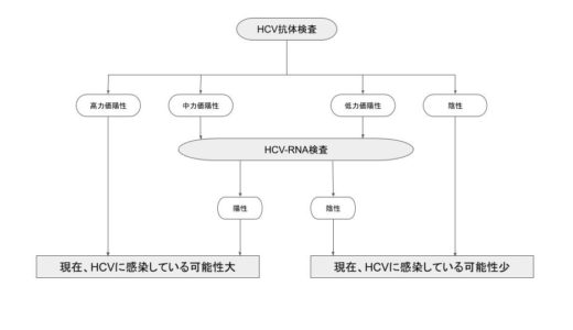 HCV-RNA検査とは？【C型肝炎やHCV抗体検査についても解説】