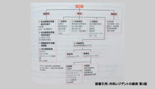 KDIGOによるAKI（急性腎障害）の定義とは？【原因と治療法も簡単に解説】