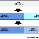 体液の種類