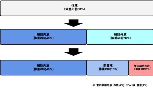 体液とは？【細胞内液と細胞外液の違いも解説】