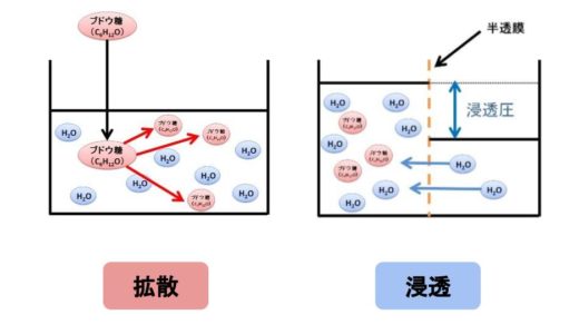【図を多用】浸透圧とはなにかをわかりやすく解説してみた
