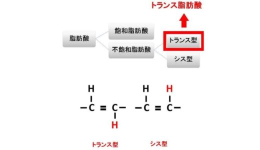 トランス脂肪酸とは？図を多用してわかりやすく解説します
