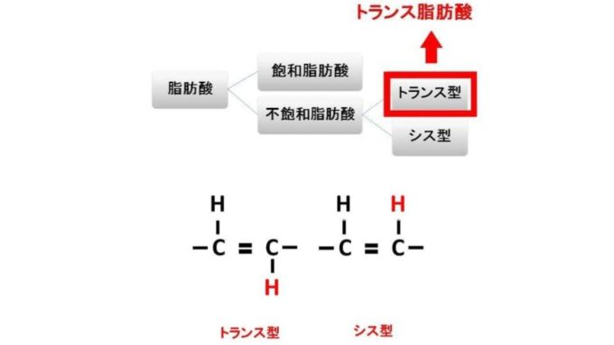 トランス脂肪酸とは