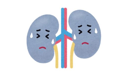 腎性貧血とは？看護師などの医療従事者向けに詳しく解説します