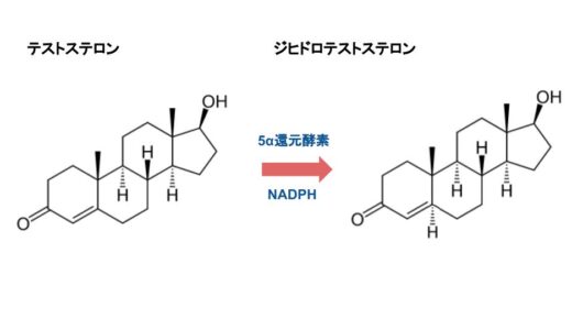 ジヒドロテストステロンとはなに？簡単にわかりやすく解説してみた