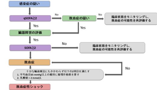 敗血症とは？わかりやすく：qSOFA/SOFAの見方と“最初の1時間”